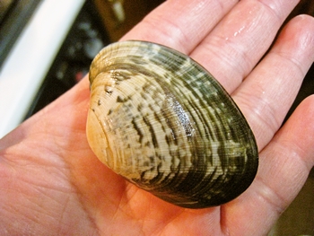 c0134734_0475253.jpg