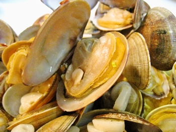 c0134734_0481723.jpg