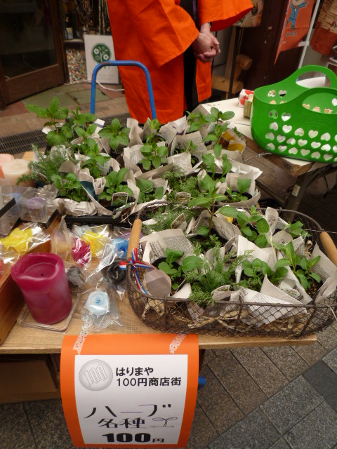 a0182636_16381931.jpg