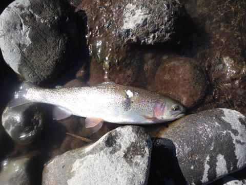 b0180946_2102887.jpg