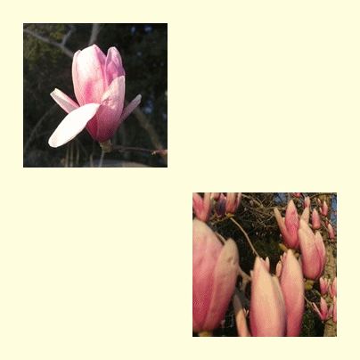 f0031546_17444041.gif