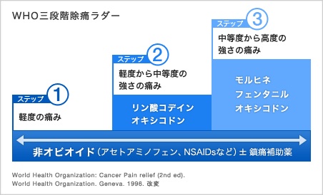 疼痛コントロールは難しい_b0102247_202616.jpg