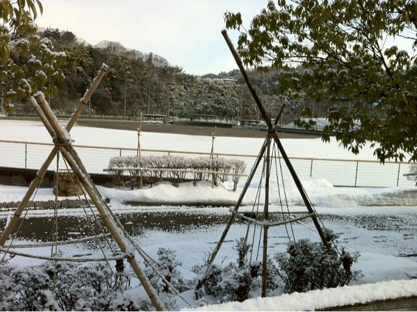 審判講習会なう!_c0110051_1352930.jpg