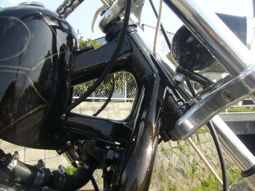 shakedown_a0193460_54124.jpg