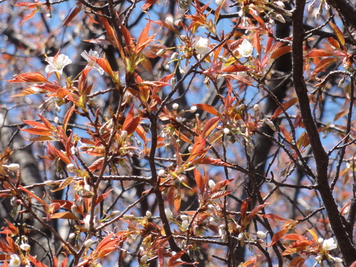 c0108460_1881197.jpg