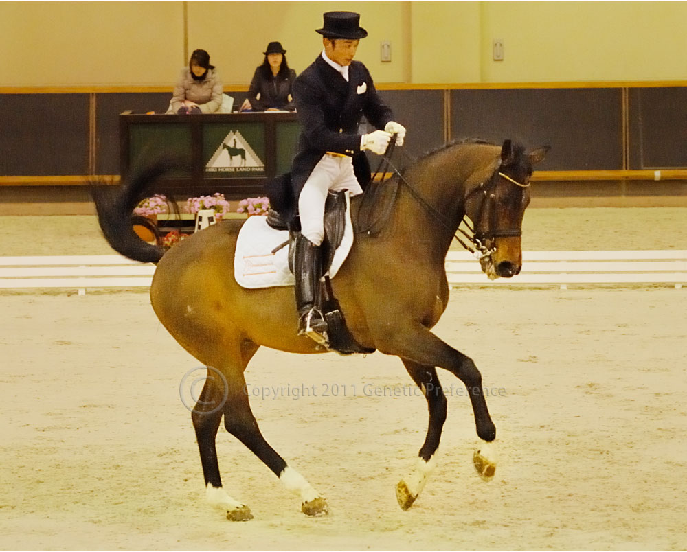 ひょうごスプリングホースショー2011＜馬場馬術競技会＞Vol.11_a0111162_19294835.jpg