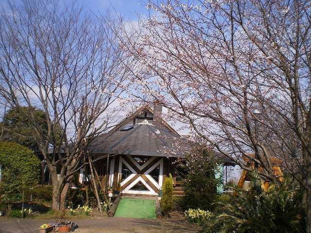 e0145364_2031068.jpg