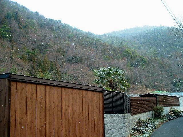 c0105569_2241481.jpg