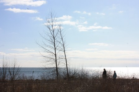 空と水の青＠「Tommy Thompson Park」_a0100975_1383358.jpg