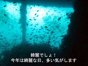 興奮の沈船_f0144385_2314951.jpg