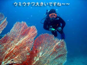 興奮の沈船_f0144385_2324774.jpg