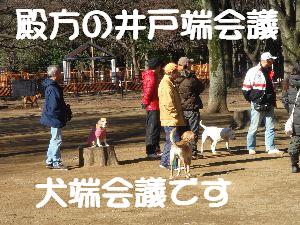 公園の早春　　　2011/03/27_b0101991_20465242.jpg