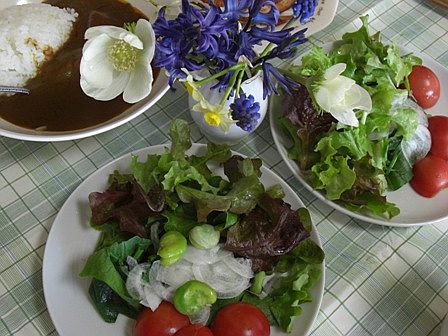 昨日食べたもの_a0097792_18412752.jpg