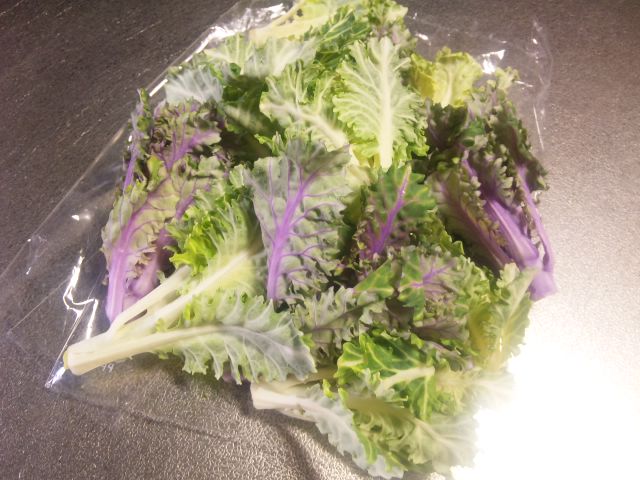 f0233900_2153669.jpg