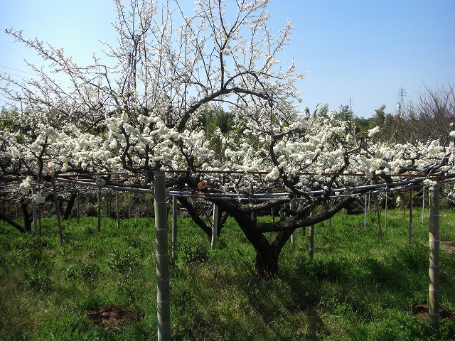 c0125501_23123580.jpg