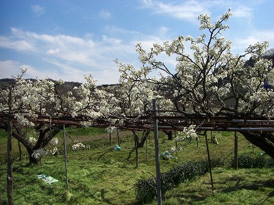 c0125501_2312526.jpg