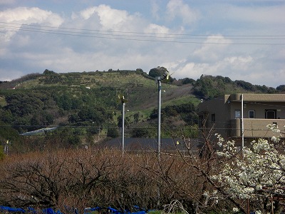 c0125501_2314797.jpg