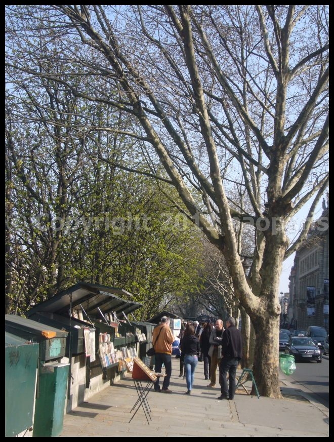 【ポン・ヌフ界隈】3月24日(PARIS)_a0008105_19102150.jpg