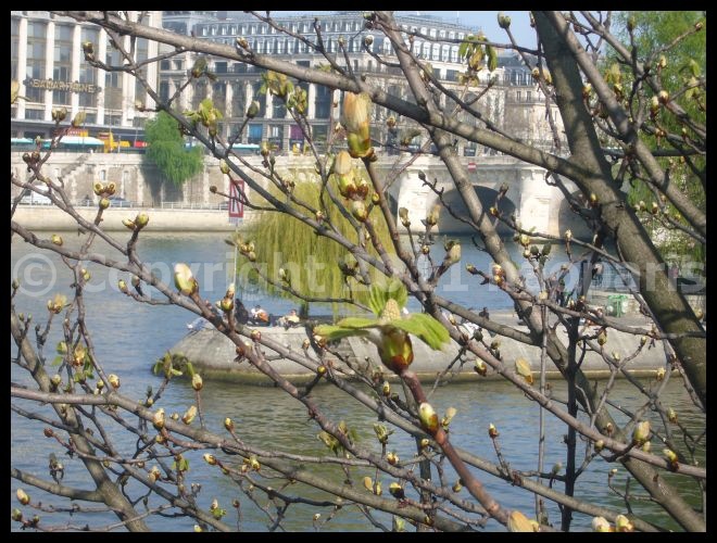 【ポン・ヌフ界隈】3月24日(PARIS)_a0008105_19104759.jpg