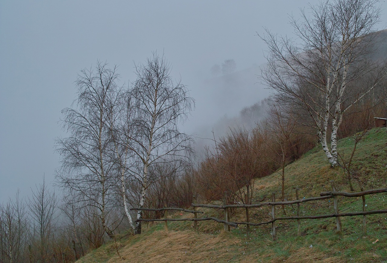 d0104210_3749.jpg