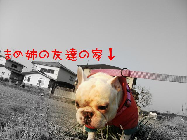 a0158613_2125849.jpg
