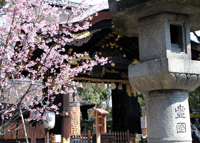 京の花だより 豊国神社と方広寺_e0048413_2072868.jpg