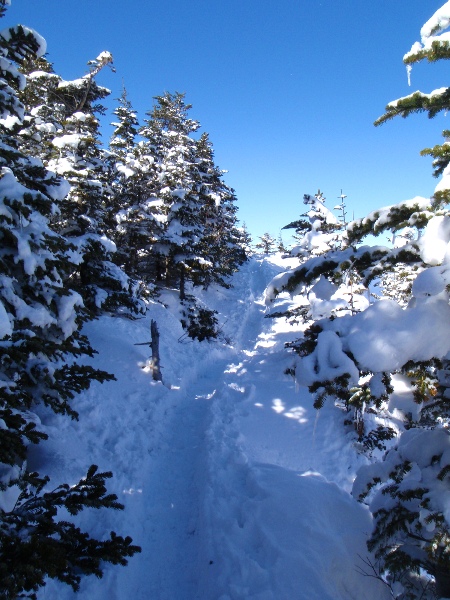 浅間山の展望台　雪の黒斑山_c0177814_18404687.jpg