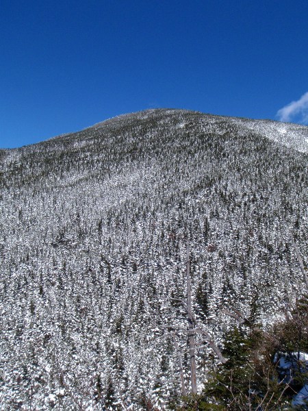 浅間山の展望台 雪の黒斑山_c0177814_18411359.jpg