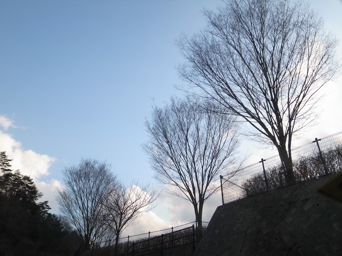 山越えと。。_c0116915_082850.jpg