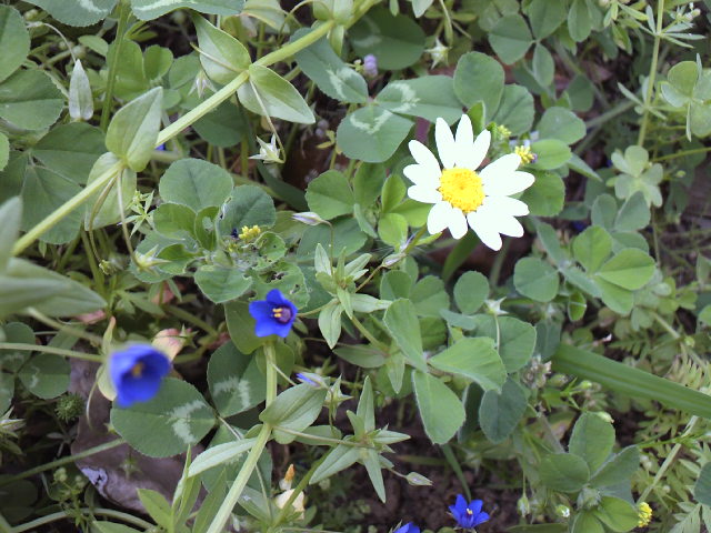 b0086931_02273.jpg
