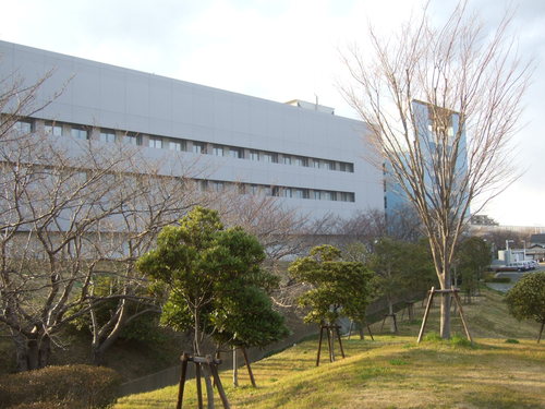 b0137932_1929523.jpg
