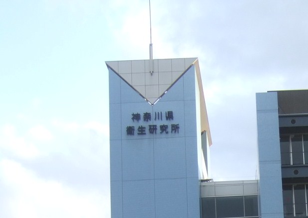 b0137932_19325576.jpg