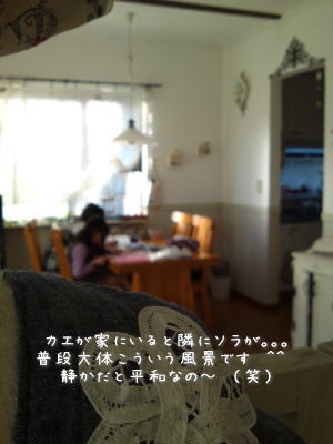 ハギレで作った布ハンガー3種♪&ガスでエコ炊飯 ^^_f0023333_17374678.jpg