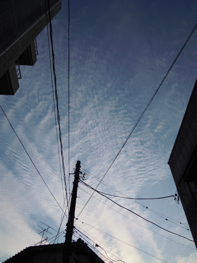 悲しみの果て A線上のアリア チェンバロ奏者 廣澤麻美 公式ブログ Asami Hirosawas Blog 悲しみの果て A線上のアリア チェンバロ奏者 廣澤麻美 公式ブログ Asami Hirosawas Blog