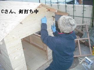 動いて・・・犬舎作り_f0031037_1901531.jpg