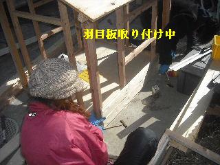 動いて・・・犬舎作り_f0031037_190188.jpg