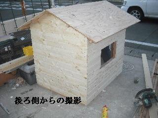 動いて・・・犬舎作り_f0031037_190915.jpg