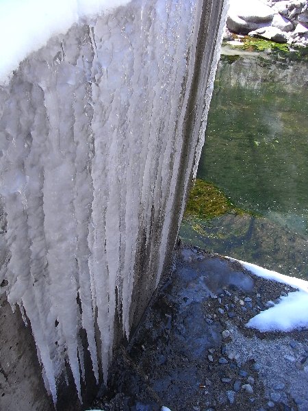 b0165444_23365437.jpg