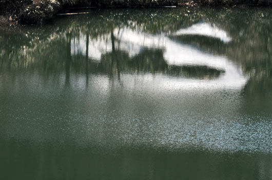 医王ダム湖にて(1)_c0093046_1525991.jpg