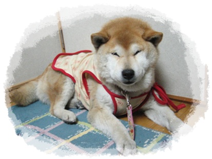 少しずつ_c0049950_0122212.jpg