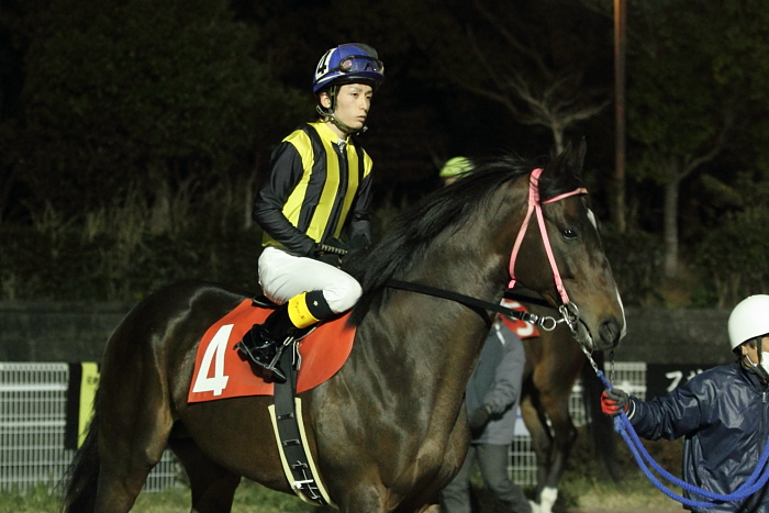 2011年3月27日(日) 高知競馬 11R 花海道菜の花特別 A-1 選抜馬 その1_a0077663_17302834.jpg