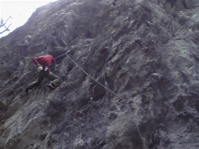 e0167264_028077.jpg