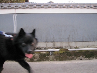 e0002466_19343590.jpg