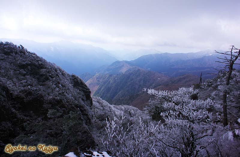 f0173067_14001.jpg