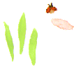 f0199868_6565960.gif