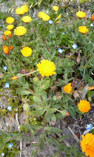 c0121572_0574325.jpg
