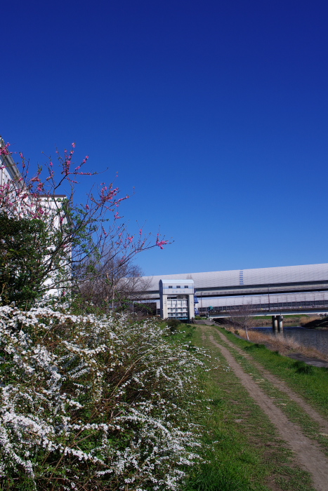 青い空（PENTAX Blue）_b0120979_1573293.jpg