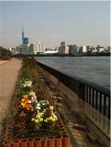 c0205379_12334252.jpg