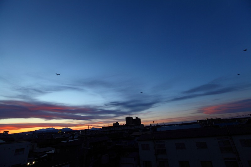 a0160581_18523230.jpg