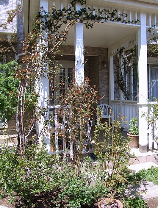 d0099791_174642100.jpg
